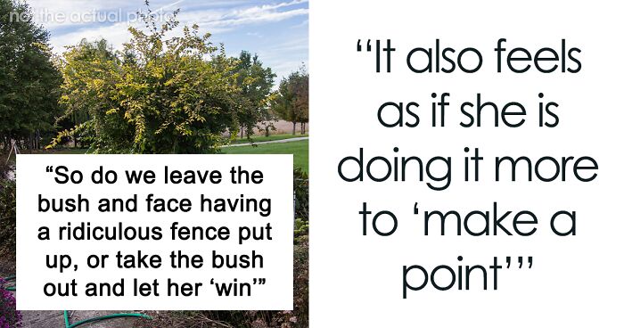 Woman Keeps Complaining To Her Neighbor That Her Bush Is Dropping Leaves In Her Driveway, Demands That They Get Rid Of It