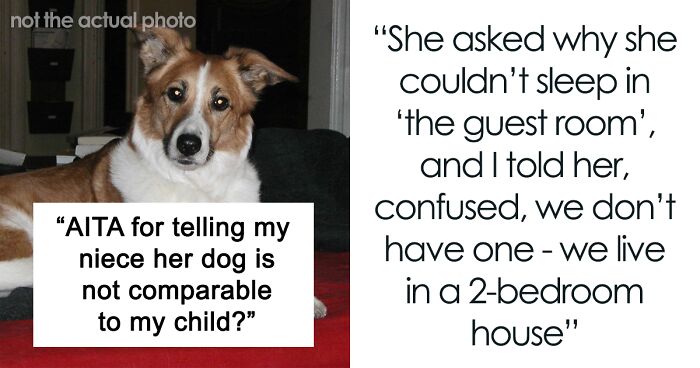 Woman Asks If She’s A Jerk For Yelling At Her Niece That The Teen’s Dog Is Not Comparable To Her Child