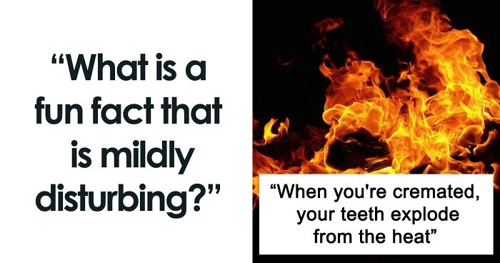 People Are Sharing 53 Fun Lesser-Known Facts In A Mildly Disturbing Viral Thread