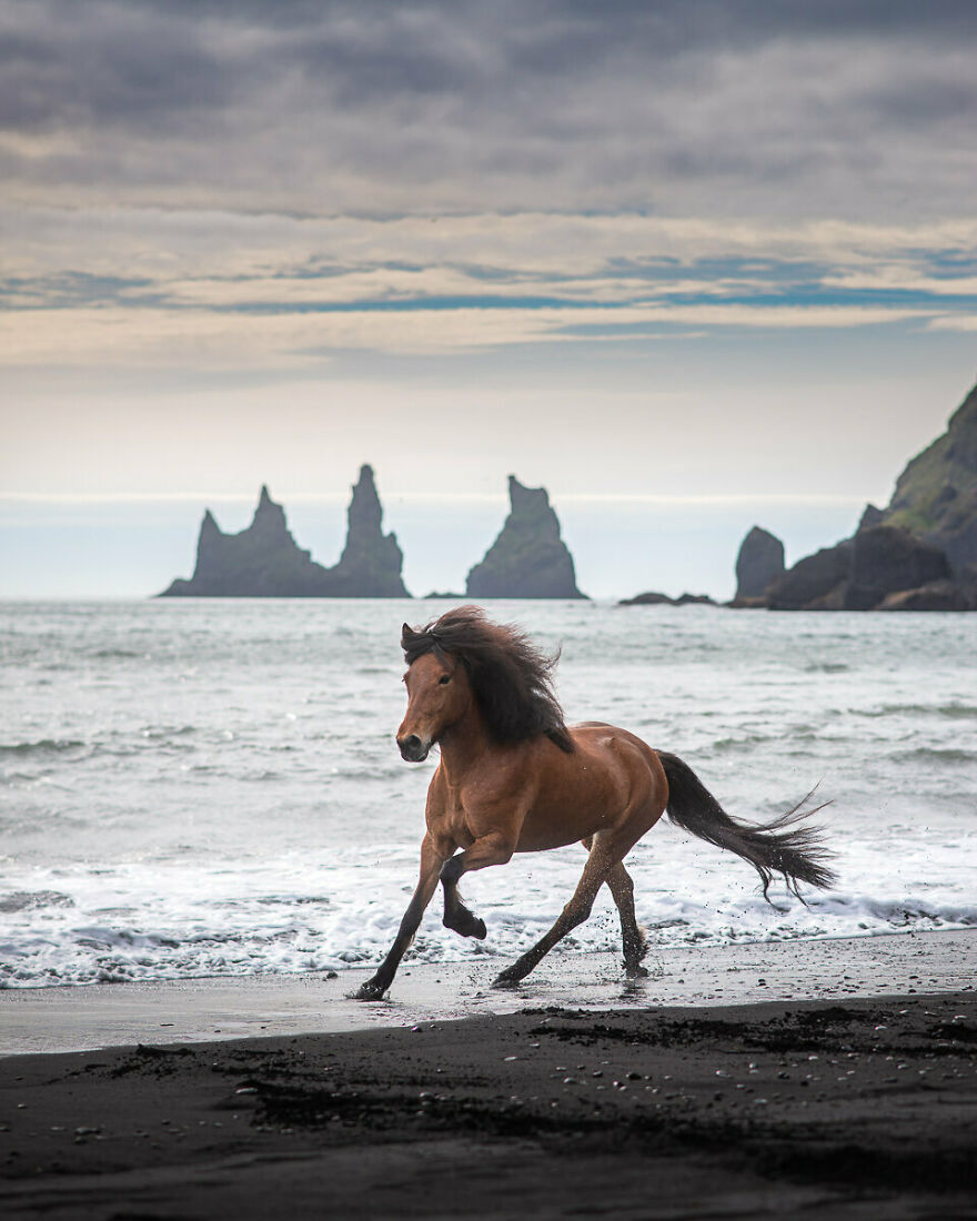 The Famous Beach In Vík Is One Of My Favorite Locations