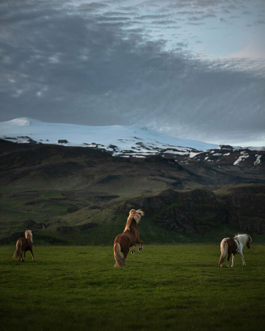 Authentic Icelandic Landscape At It's Best