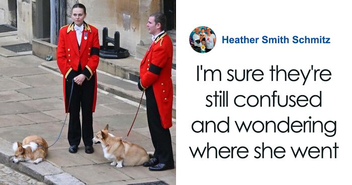 Heartbreaking Moment Of Queen Elizabeth II’s Corgis And Her Favorite Pony Awaiting The Arrival Of Her Coffin At Windsor Castle