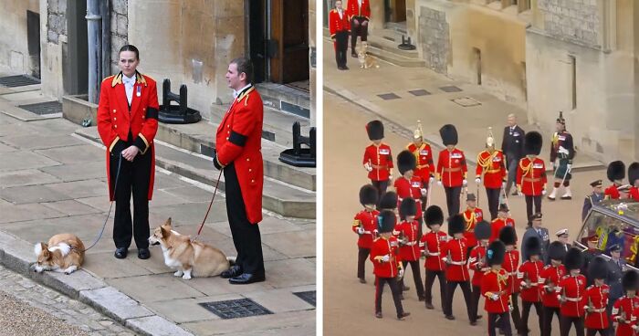 Queen Elizabeth II’s Beloved Corgis And Her Favorite Pony Come To Say Goodbye At Windsor Castle