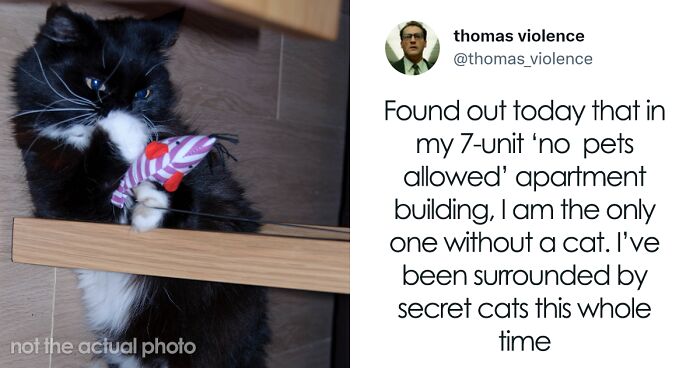 Man Finds Out Everyone In His Apartment Building Has A Cat Even Though It’s Not Allowed, People Are Sharing Their Pet Hiding Stories