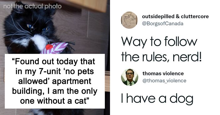 Man Finds Out Everyone In His Apartment Building Has A Cat Even Though It’s Not Allowed, People Are Sharing Their Pet Hiding Stories