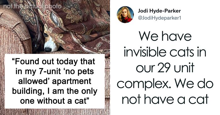 Dog Owner Tweets That His No-Pet Apartment Building Is Filled With “Secret Cats”, 12 Others Share Their Pet Hiding Stories In Response