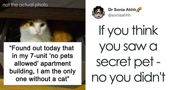 12 Pet Owners Respond To This Tweet About A Guy Finding Out People In His No-Pet Apartment Have “Secret Cats”