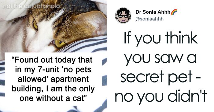 Man Finds Out Everyone In His Apartment Building Has A Cat Even Though It’s Not Allowed, People Are Sharing Their Pet Hiding Stories