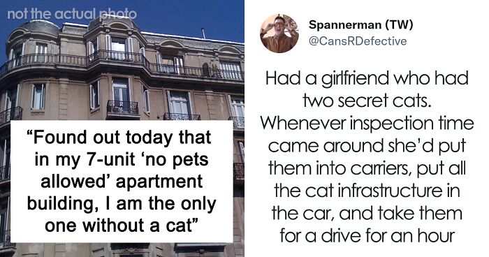 This Building Doesn’t Allow Pets, So Man Is Afraid Of His Dog Getting Snitched On, Finds Out Everyone Else Also Has Secret Pets