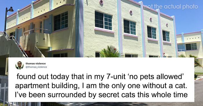 “My Dude, Literally Everyone Here Has A Secret Pet”: Man Is Worried About His Dog Occasionally Visiting Getting Snitched On, Turns Out Everyone’s Hiding A Pet