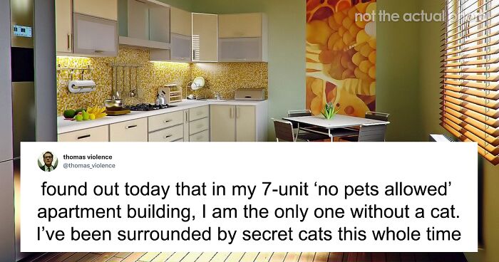 Neighbor Reveals That Everyone In The Building Has Cats Even Though It’s Not Allowed, People On Twitter Shared Their Own Pet Hiding Stories