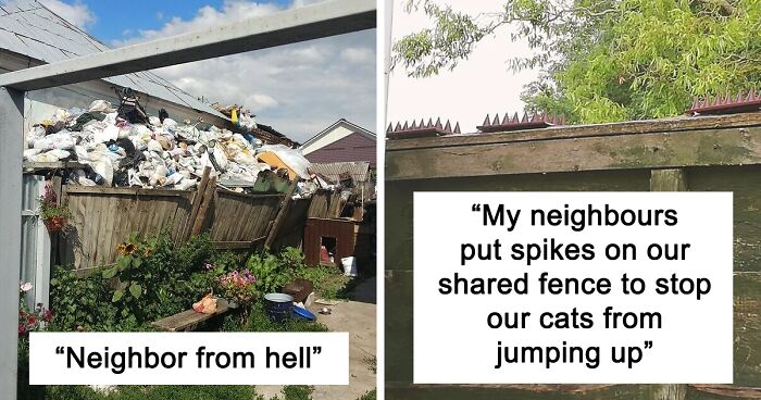 115 Neighbors Who Deserve The 