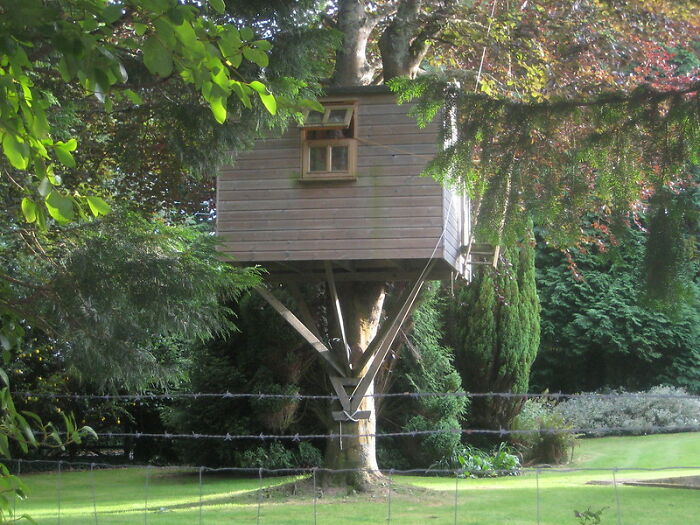 Back Yard Tree House. We Actually Played Outside . .