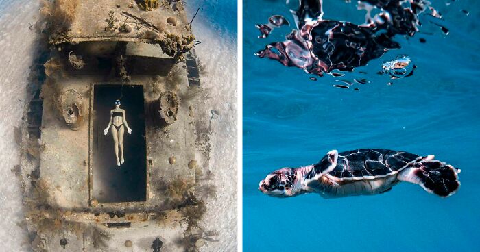 People Online Share 30 Incredible Photos That Were Taken Underneath The Water