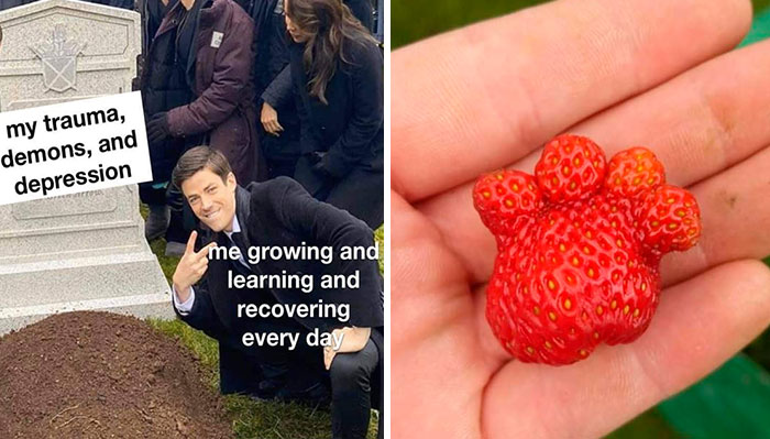 40 Wholesome Memes And Posts That Remind Us The World Isn’t All Bad, As Shared In This Facebook Group