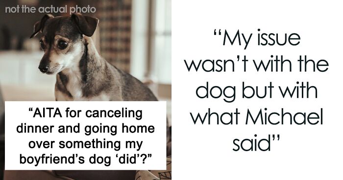 Woman Asks If She Was Wrong To Cancel Date After Her Boyfriend Claimed His Dog Thinks She's 