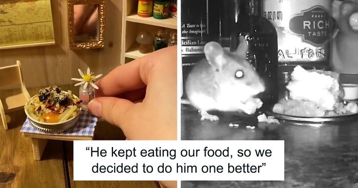 Woman Makes Gourmet Meals For A Mouse That Lives In Her Wall, Goes Viral On TikTok With More Than 18M Views