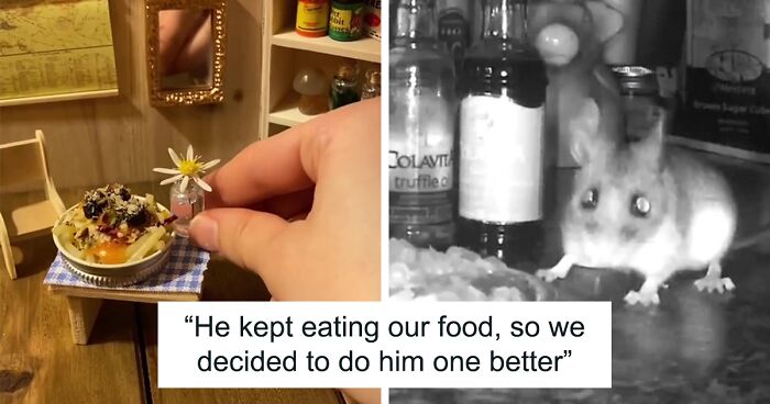 Woman Makes Meals For Tiny Mouse That Lives In Her Wall, And It Has Divided Opinions