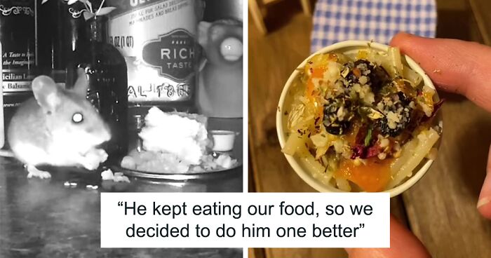 Real-Life Cinderella Goes Viral With Over 18M Views For Making Tiny Gourmet Meals For Mouse That Lives In Her Wall