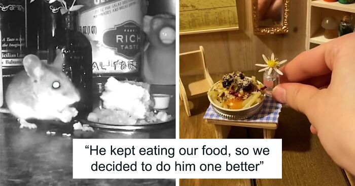 Woman Makes Gourmet Meals For A Mouse That Lives In Her Wall, Goes Viral On TikTok With More Than 18M Views