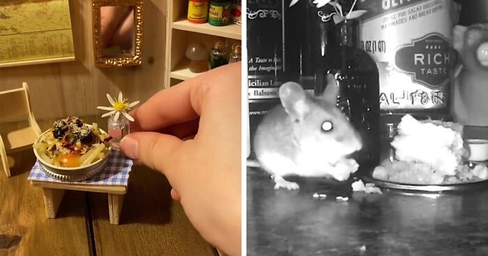 Woman Makes Gourmet Meals For A Mouse That Lives In Her Wall, Goes Viral On TikTok With More Than 18M Views