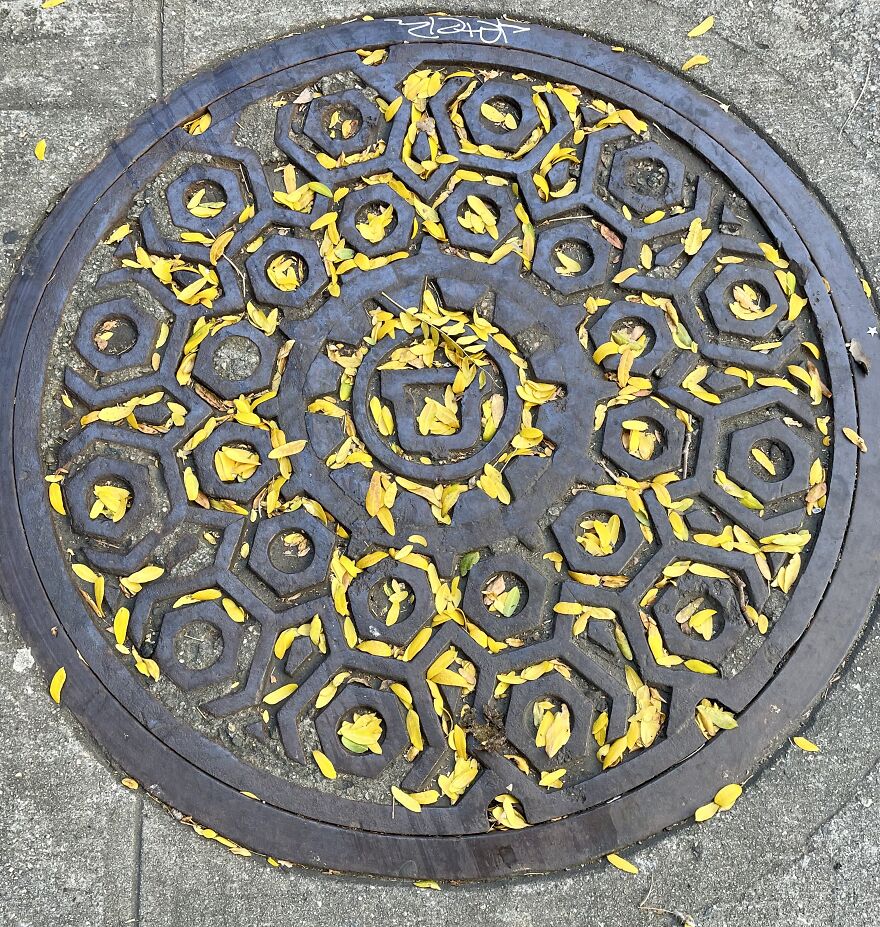 Man (I.e. Person) Hole With Yellow Fall Leaves And Small Tag