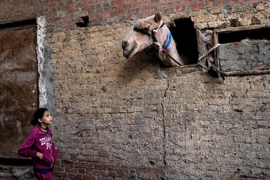 Street Photography Contest: Meet The Winners And Finalists Of The Independent Photographer's Awards