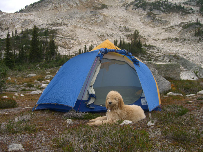 Worker Says They Lie About Camping To Set Boundaries Whilst On Vacation, Prompts Others To Share Their Tricks