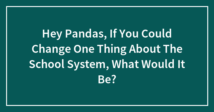 Hey Pandas, If You Could Change One Thing About The School System, What Would It Be? (Closed)