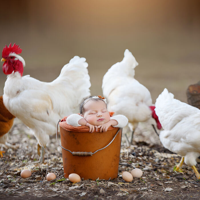 I Held A Newborn Photoshoot On A Family Farm With The Farm Animals, And Here Are The Results (6 Pics)