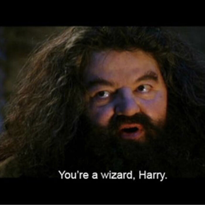 Hey Pandas, Post A Picture Of Your Favorite Hagrid Scene From Harry Potter In Honor Of Robby Coltrane (Closed)