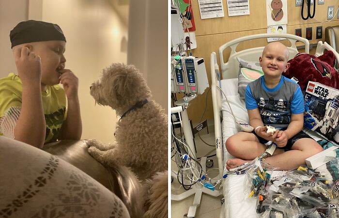 Dog Saved This Boy’s Life (6 Pics)