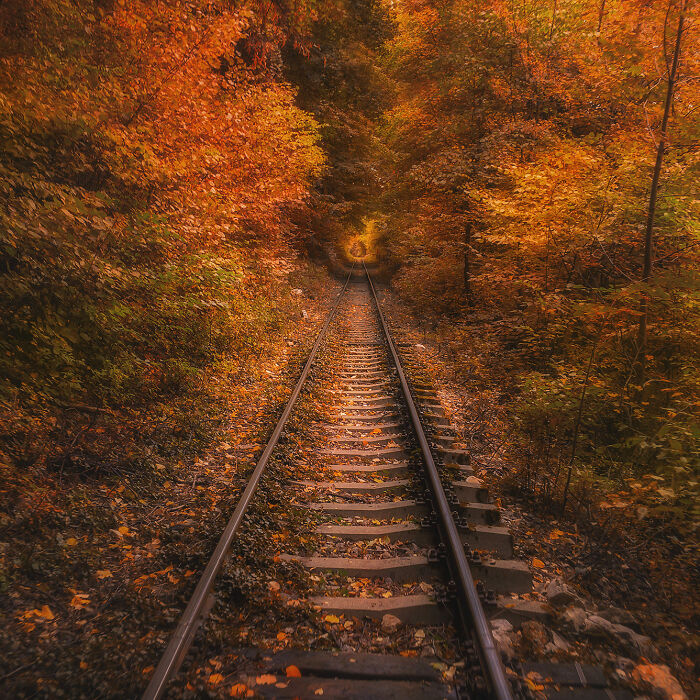 I Photographed Breathtaking Autumn Scenery From One Of The Most Spectacular Railways In South-Eastern Europe (8 Pics)