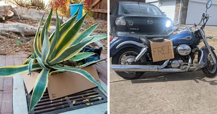 ‘One Man’s Trash Is Another Man’s Treasure’: 134 Of The Best Things People Found On The Streets And Took Home