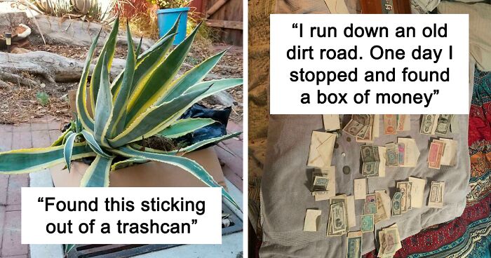 People Share What They Found Thrown Away, And The Phrase ‘One Man’s Trash Is Another Man’s Treasure’ Has Never Been So Real (134 Pics)