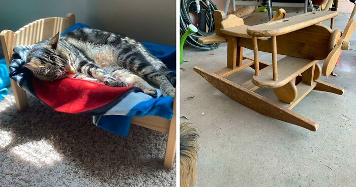 134 Times People Spotted Amazing Free Things Left Behind On The Curb And Had To Share Pics In This Online Group