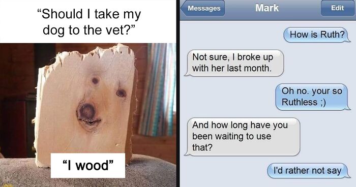 105 Of The Best Puns That People Just Had To Share On This Online Community