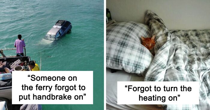 146 Funny Posts From Forgetful People That Channel Major 