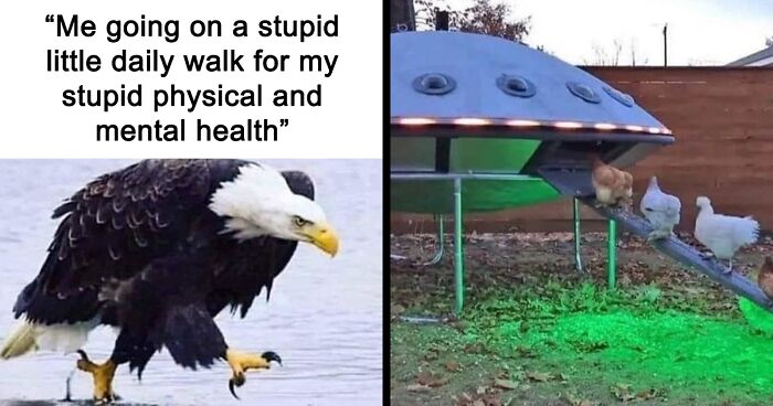 39 Memes And Posts To Celebrate The Beauty Of Our World, As Shared By The “Give A Shift About Nature” Page