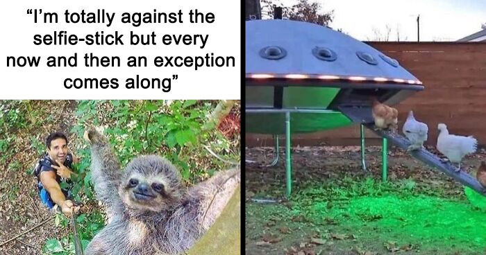 39 Ridiculous, Wholesome Or Straight-Up Funny Memes About Nature And The Environment, As Shared By This Facebook Page