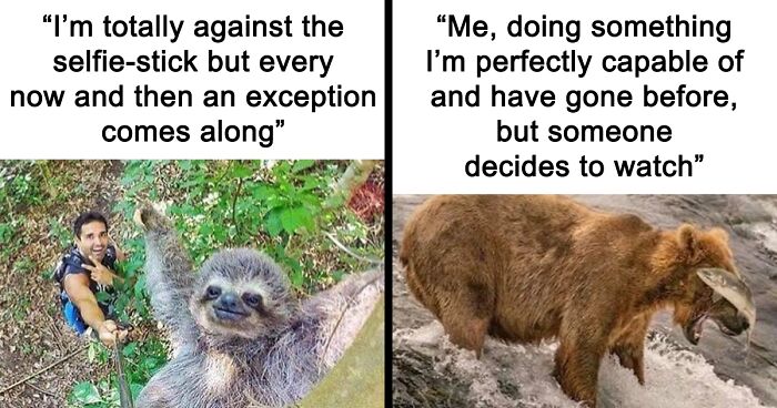 People Are Creating Memes About Nature And All Things Environment, Here Are 35 Of The Best Ones Shared On This Facebook Page