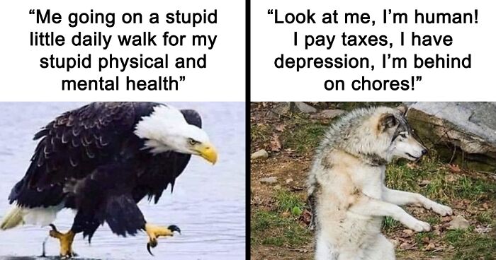 39 Random, Joyous Or Downright Hilarious Memes About The Environment And Nature, As Shared By This Facebook Page