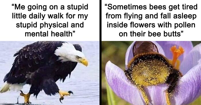 People Are Creating Memes About Nature And All Things Environment, Here Are 35 Of The Best Ones Shared On This Facebook Page