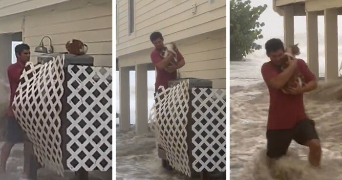 Floridians Rescue Animals During And In The Wake Of Hurricane Ian