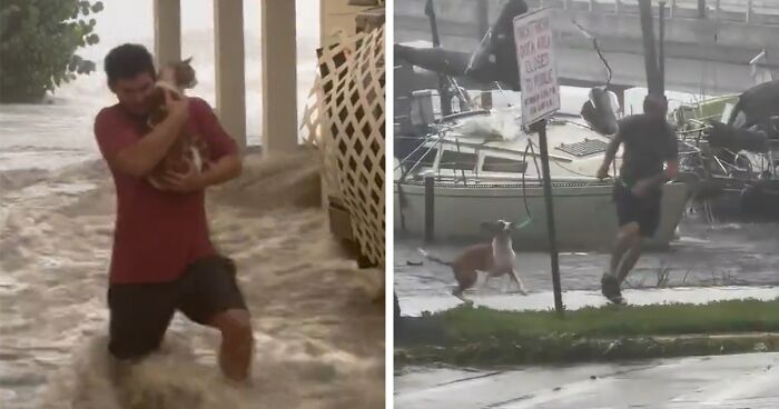 Floridians Heroically Weather Hurricane Ian Floodwaters To Save Animals In Need