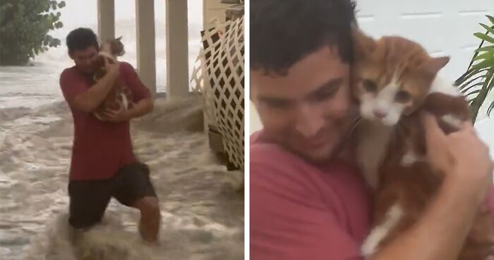 People Online Applaud Ordinary Heroes Who Risked Their Lives To Save Stranded Animals During Hurricane Ian