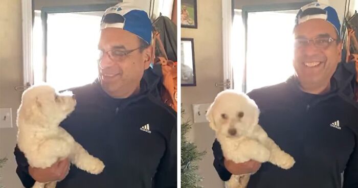 “He Had One Job!”: Husband Goes To Groomers, Comes Home With The Wrong Dog