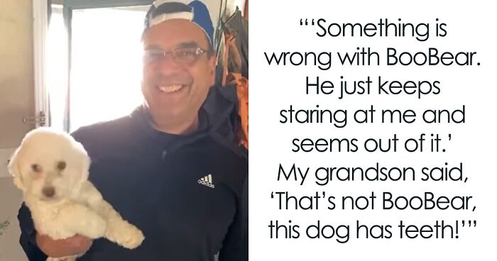 “He Had One Job!”: Husband Goes To Groomers, Comes Home With The Wrong Dog