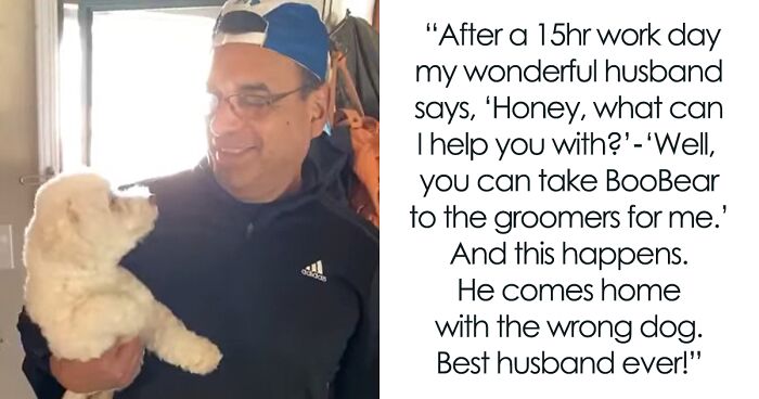 Husband Picks Dog Up From Groomers, Only For Wife To Realize He Got The Wrong Dog