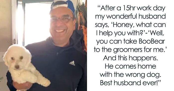 “He Had One Job!”: Husband Goes To Groomers, Comes Home With The Wrong Dog